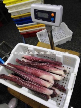 Fresh Frozen Octopus leg