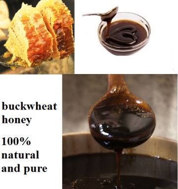 raw organic natural buckwheat honey