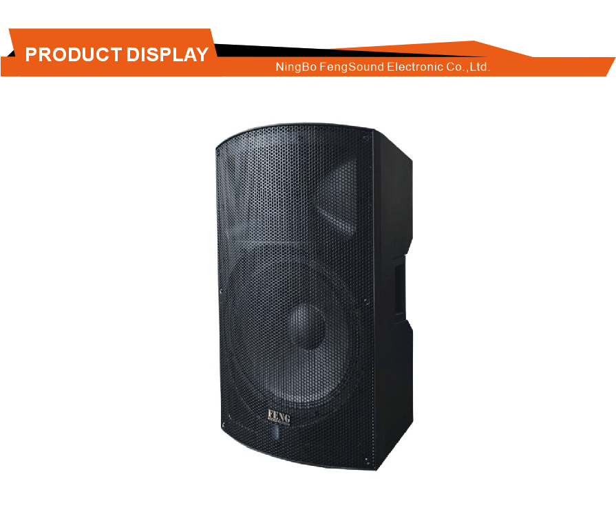 Altavoz de monitor activo Reverb Echo Reverb Echo Active Monitor Speaker