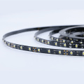 Nastro 300 LED 3528 SMD Cold White strip