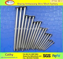 Wire nail steel common nails