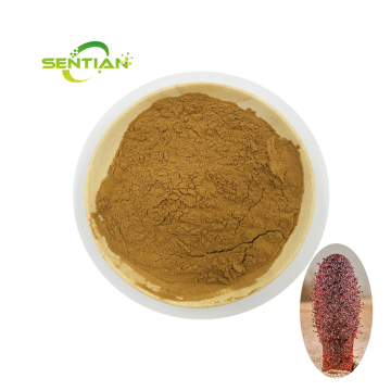 Male health products Cynomorium Songaricum herb extract