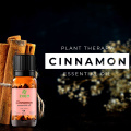 Cinnamon essential oil has antibacterial antifungal and antioxidant properties It is primarily used as a spice