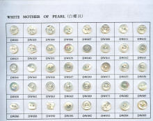 white mop shell button