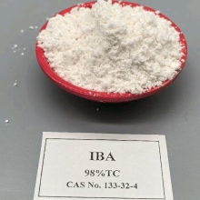 Indolebutyric acid IBA - rooting powder in Egypt