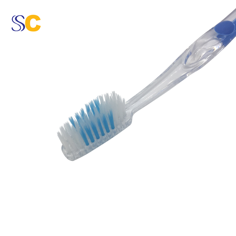 Transparent Handle Transparent Handle Adult Toothbrush