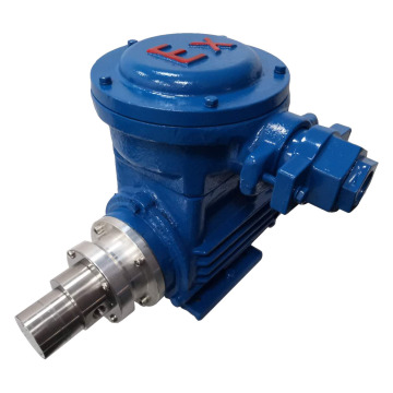 Micro transportation gear pump for for flammable places