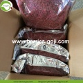 Factory Supply fruit Premium donker rode Goji-bessen