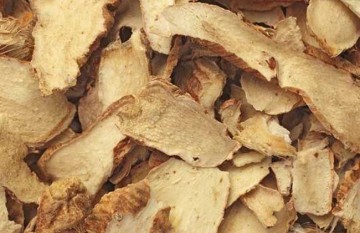 Top Quality Anemarrhenae Rhizoma