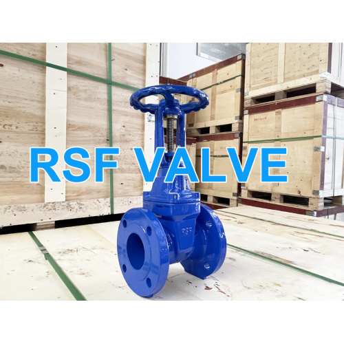 AWWA C515 & C509 Resilient Seat Gate Valve