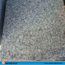Newstar G623 Rosa Beta Granite