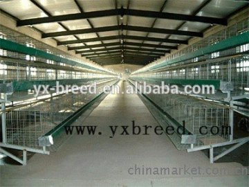 chicken shed for poultry farm