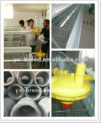 Wire cage for female chiken