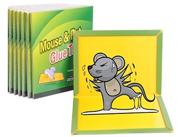 High-Quality Mouse Glue Traps: Large Rat and Mouse Capture Boards