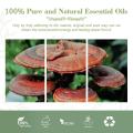 Huile essentielle de ganoderma de plantes pure de haute qualité pour l&#39;anti-âge