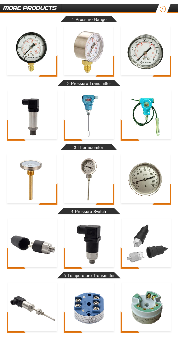 Temperature Sensor Module/Temperature Transmitter Module,Module