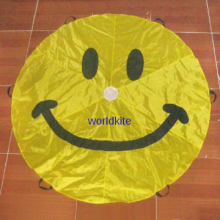 smiling face parafoil kite