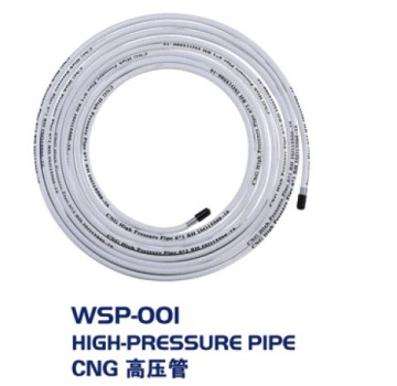 CNG cars high pressure pipes for conversion kit gas auto