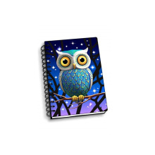 NIGHT OWL 3D NOTEBOOK-0