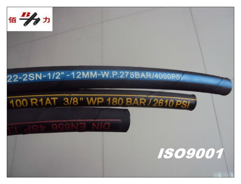 Baili hydraulic rubber hose pipe in hengshui, China