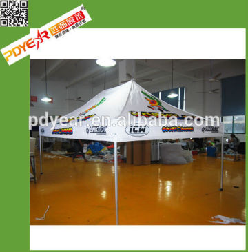 10' x 10' Instant Canopy