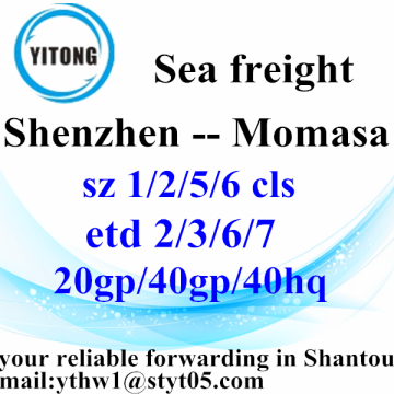 Shenzhen Container Shipping Service to Momasa