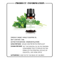 100% Pure Natural Parsley Essential Oil for Aromatherapy