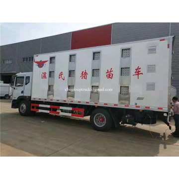 Camión frigorífico aislado para el transporte de plántulas de cerdo.