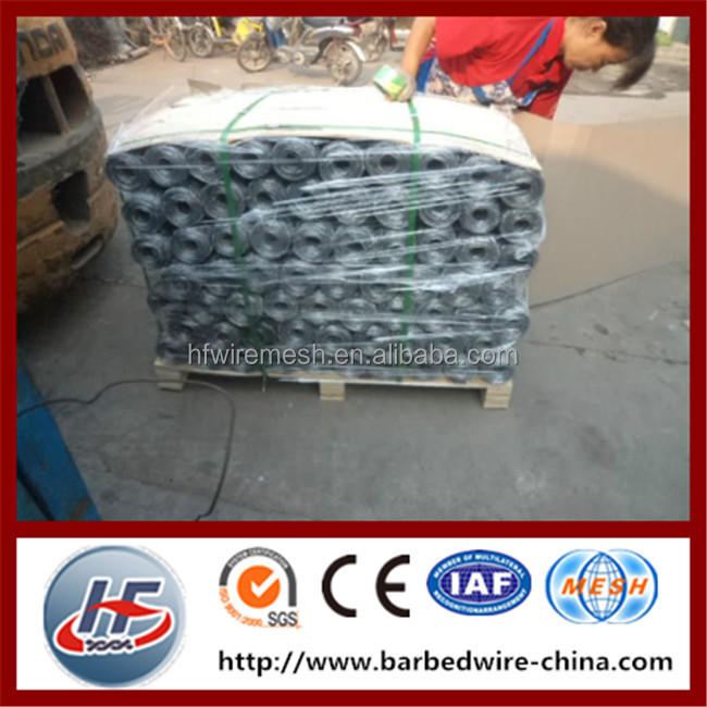 hexagon wire netting,chicken mesh,electro galvanized after weaving hexagonal wire netting