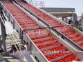 Piccola macchina e attrezzatura in pasta di pomodoro