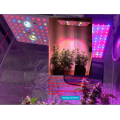 Phlizon CoB Series 1000W LED Grow Light