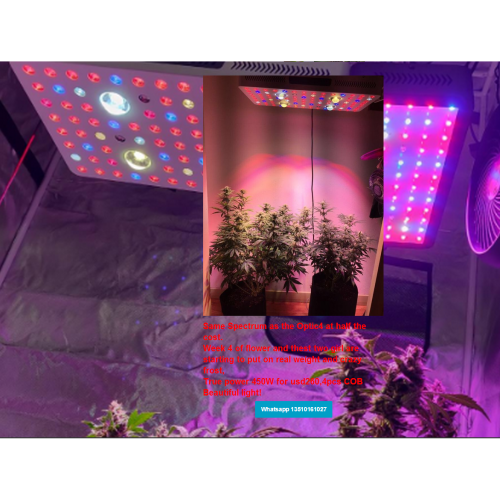 Phlizon Cobシリーズ1000W LED植物の成長光