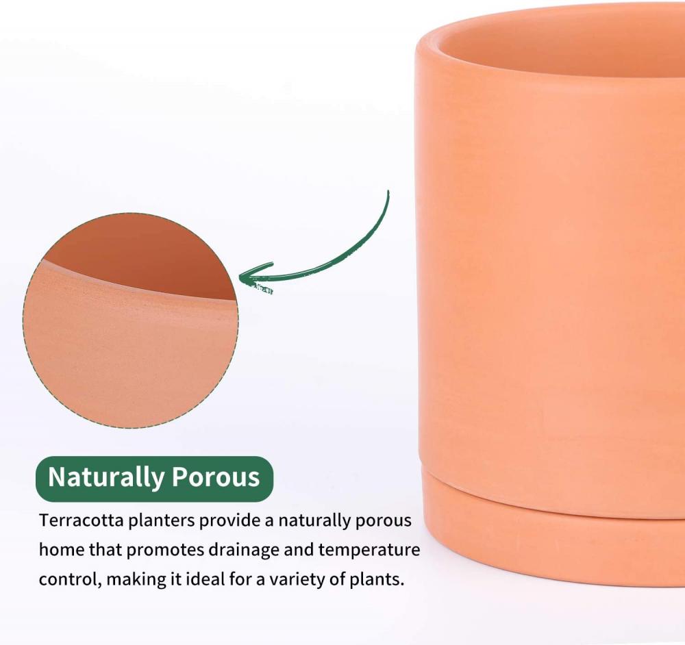 Terracotta Planter met drainagegat en schotel