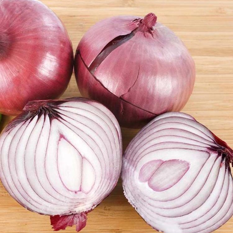 Delicious fresh solar specification agricultural products red onion