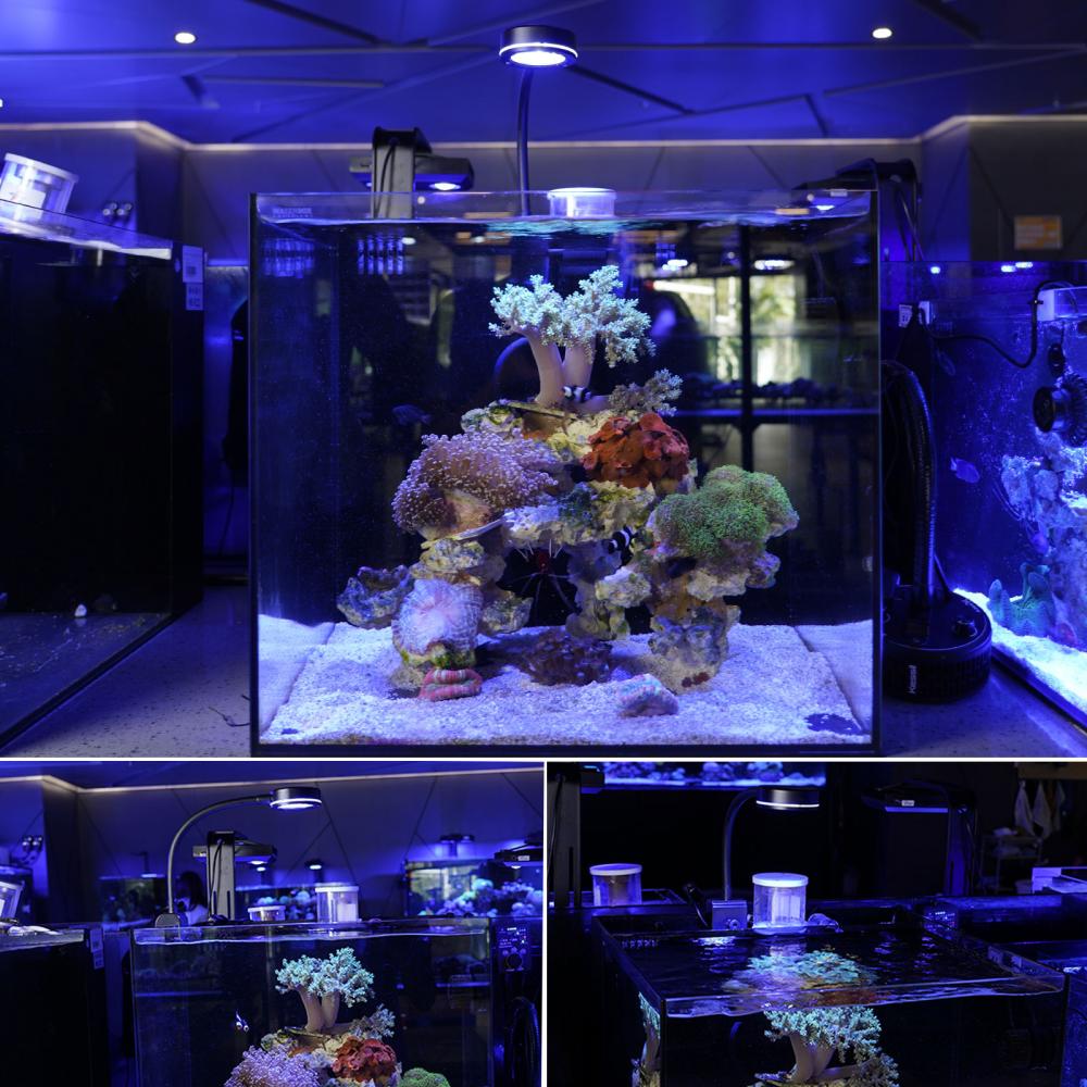 Saltwater Led Aquarium Light