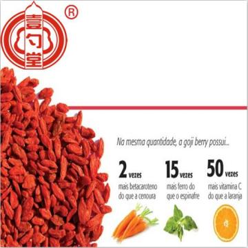 Le fruit rouge séché de baie de Goji