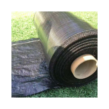 Popular Weed Barrier and Agricultural Ground Cover Made of Extruded Hot-Selling Plastic