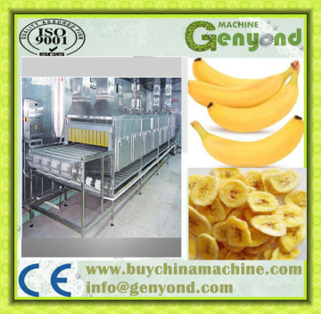 manufacturer of banana chips