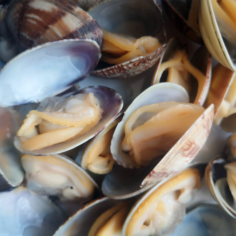 Dostawca owoców morza Live Frozen Short Neked Clam ze skorupą