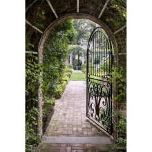 Aesthetic Iron Pattern Design Hot-dip Galvanized Wrought Iron Walkway Gate