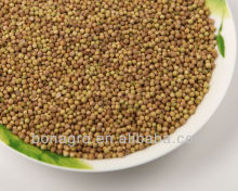 Chinese coriander seeds