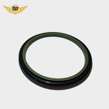 Hydraulic cylinder ptfe piston shaft GSI seals