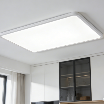 Ceiling-mounted LED ambient light