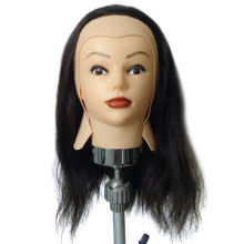 Wig training heads