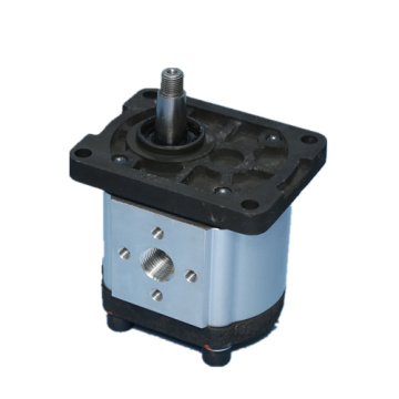 European flange gear pump