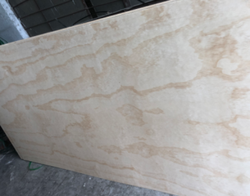 Premium Pine Plywood for Construction and Furniture