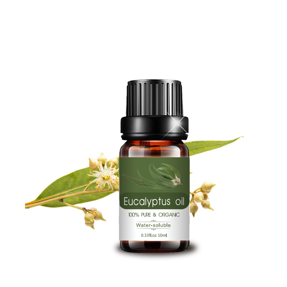 Gorąca sprzedaż Pure Natural Plant Eucalytus Essential Oil