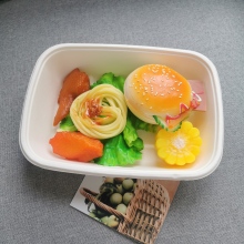 Eco Friendly Sugarcane Pulp Bagasse 8x6 food tray