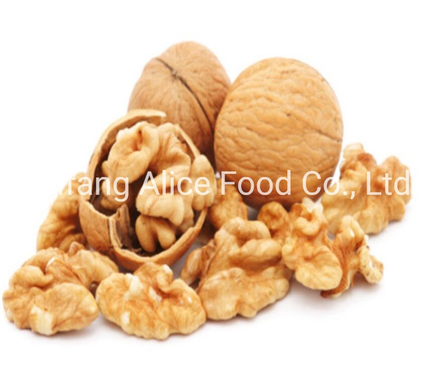 Top Quality of Walnut Kernels From China