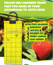 insect glue trap, insect trap, aphids glue trap, aphids trap
